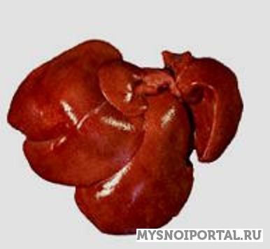 Предлагаем печень кролика Санкт-Петербург - изображение 1