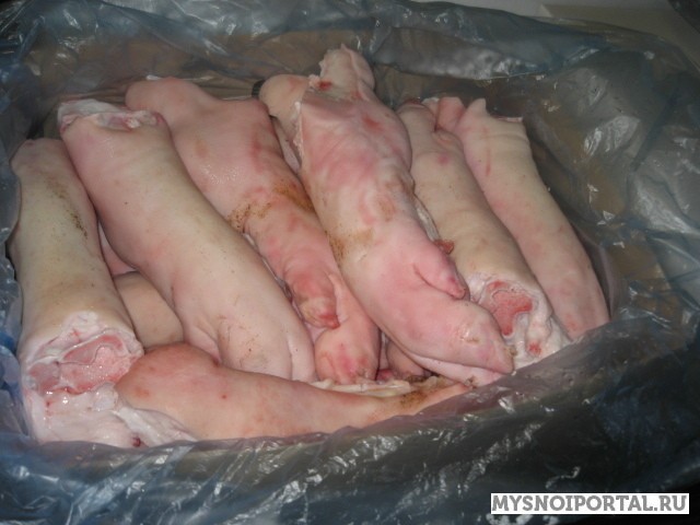 Предлагаем Ножки свиные задние Челябинск - изображение 1