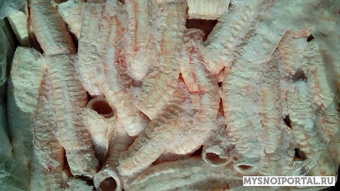 Трахея говяжья Москва - изображение 1