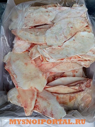 Лопаточный хрящ Москва - изображение 1