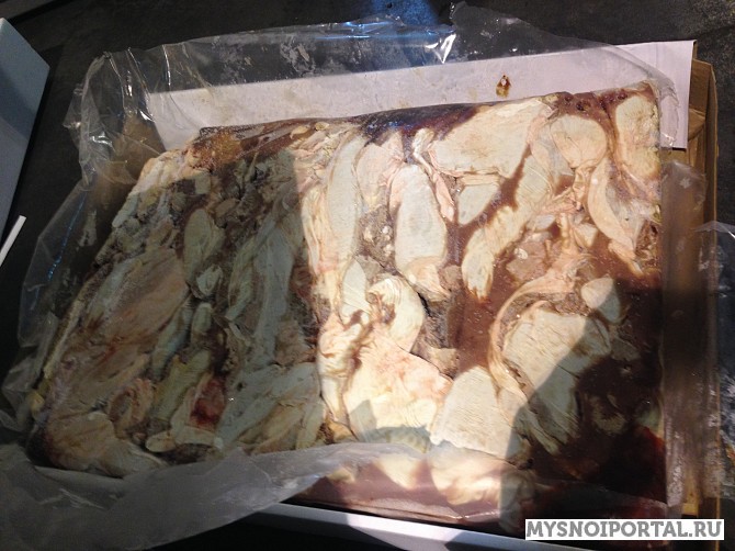 Диафрагма Москва - изображение 1