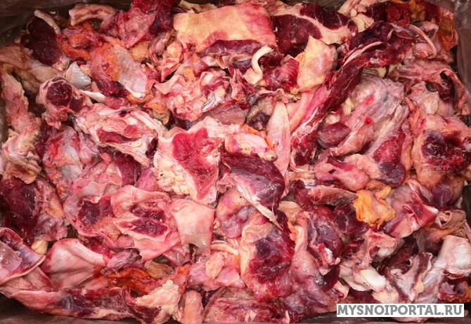 Предлагаем Жилку говяжью Москва - изображение 1