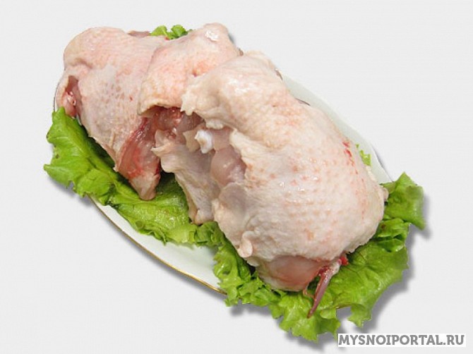 Предлагаем Спинка цыпленка-бройлера Тюмень - изображение 1