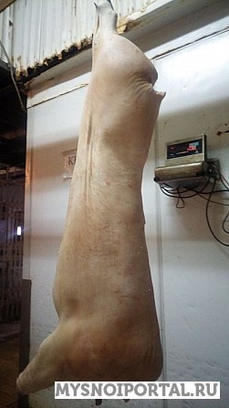 Свинина полутуши Уфа - изображение 1