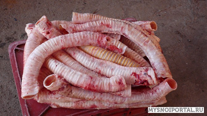 Предлагаем Трахеи говяжьи Рязань - изображение 1