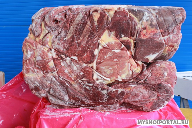 Предлагаем Конина.передняя чет.Аргентина.Мексика. Москва - изображение 1