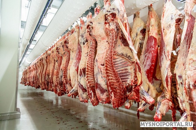 Предлагаем говядину Уфа - изображение 1