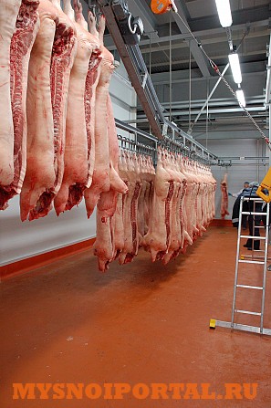 Закупаем в большом объеме свинину в Самаре Тольятти - изображение 1