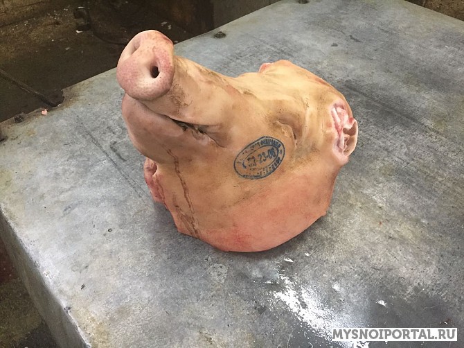 Купим головы свиные и говяжьи, ограбленные и неограбленные. Краснотурьинск - изображение 1