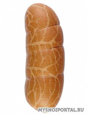 Предлагаем колбаса Телячья пряная Брест - изображение 1