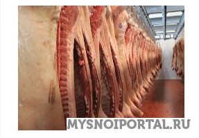 Предлагаем свиные полу туши Новосибирск - изображение 1
