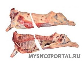 Предлагаем говядину полутуши Богатые Сабы - изображение 1