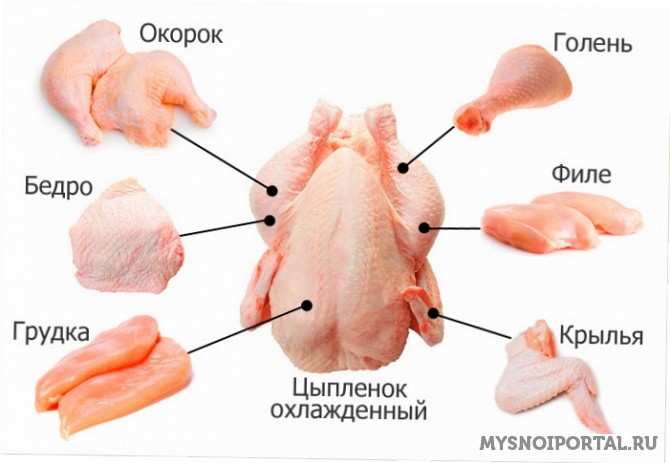 Куплю Мясо кур, в том числе цыплят Ростов-на-Дону - изображение 1