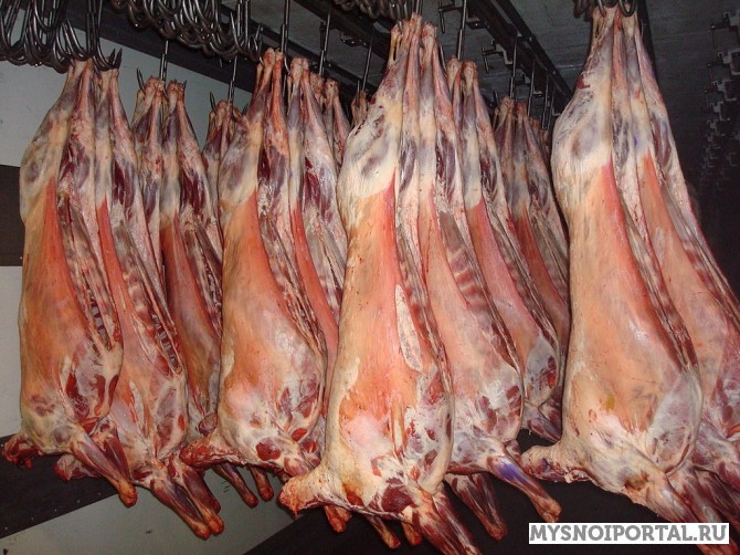 Куплю Баранину туши Челябинск - изображение 1