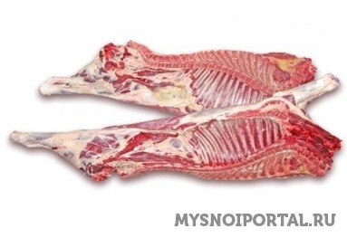 Куплю козлятину Санкт-Петербург - изображение 1