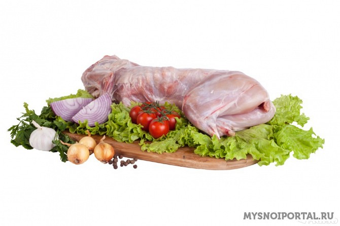 Скупаю мясо кролика Тамбов - изображение 1