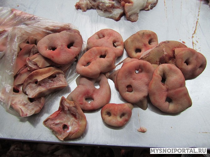 Куплю Пятачки свиные (нос) , Охл/Зам, от 100 кг в Москве Москва - изображение 1