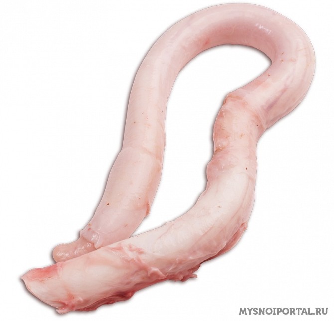 Куплю Пенисы Бычьи Москва - изображение 1