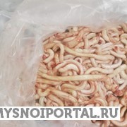 Куплю пенис бараний Москва - изображение 1