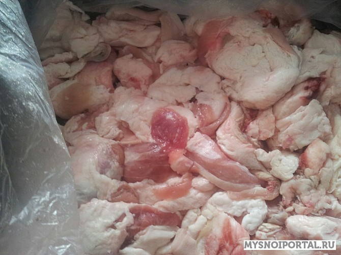Купим шпик мелкокусковой, боковой, ***********, Новосибирск - изображение 1