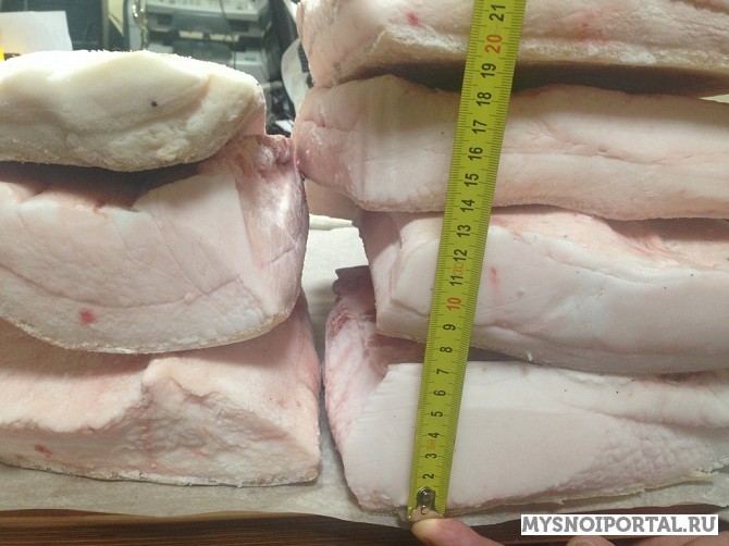 Куплю шпик Иберика 5+ Москва - изображение 1