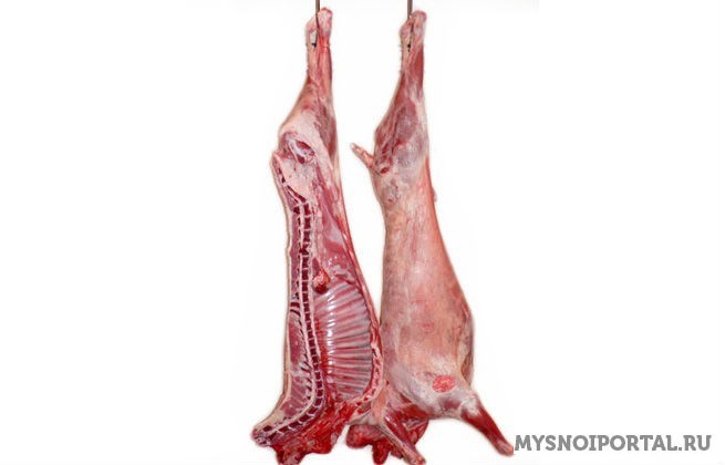 Куплю баранину Москва - изображение 1