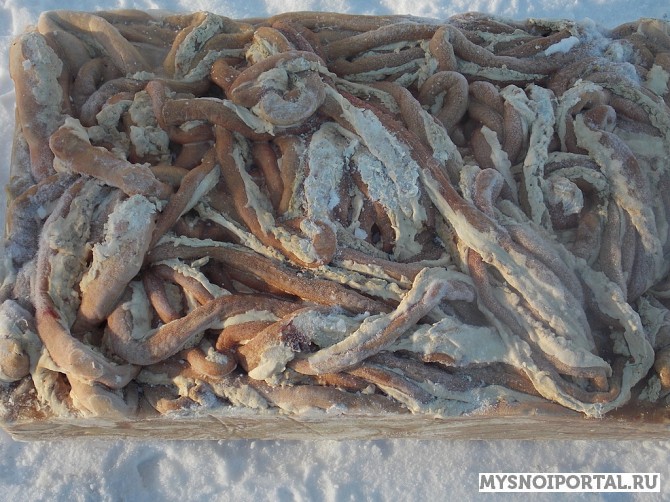 Куплю кишки говяжьи замороженные Москва - изображение 1