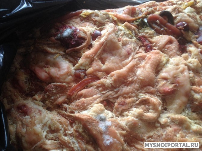 Купим кишьсырье куриное Москва - изображение 1