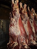 Продаем говядину в П/т и блочку доставка из г.Ижевск