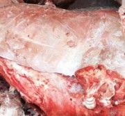 Оленина в тушах и бескостное мясо в Спб 300 доставка из г.Санкт-Петербург