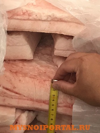 Шпик на шкуре для засолки 4+ 218р/кг Иваново - изображение 1