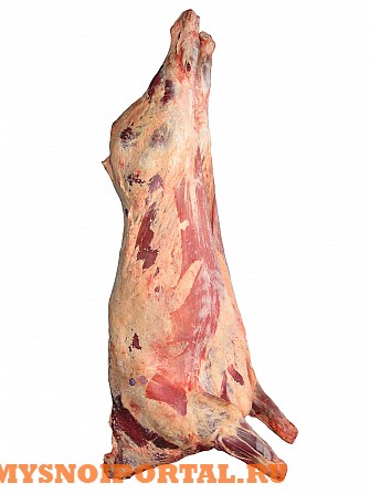 Продаем Говядину высший сорт (вес) (полиблок) Москва - изображение 1