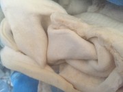 Шпик свиной Москва