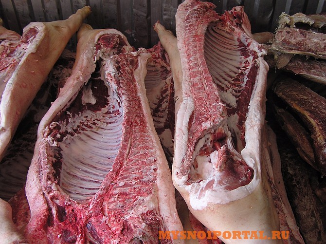 Мясо свинины в полутушах Новосибирск - изображение 1