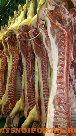 Качественная свинина по выгодным ценам Белгород - изображение 1