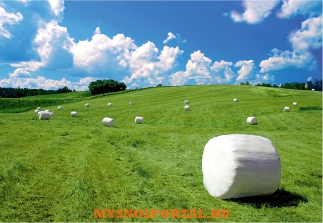 Сено и сенаж в рулонах многотравье Москва - изображение 1