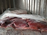 Продаю Печень свиная РФ зам, от 100 кг  в Новосибирске  Новосибирск