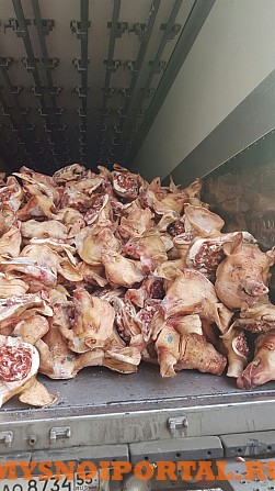головы свиные Новосибирск - изображение 1