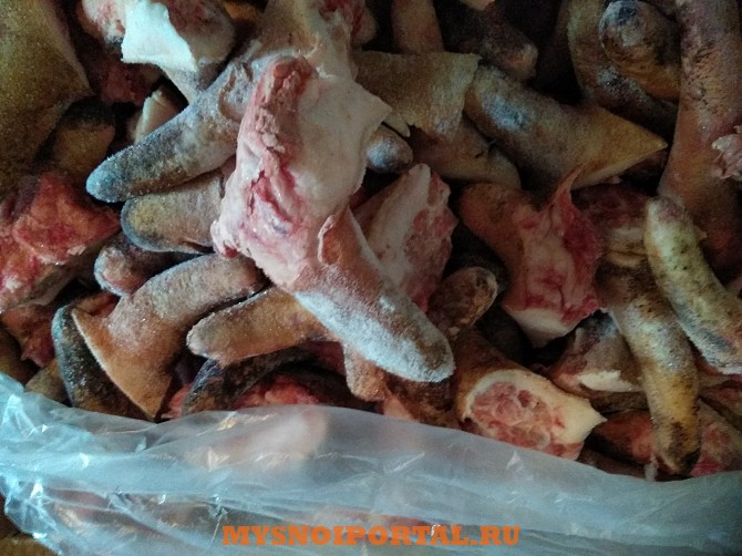 Продаю Хвосты свиные РФ зам, от 20 кг, от 100 кг в Новосибирске Новосибирск - изображение 1