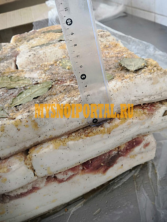 Продаю Шпик свиной Хребтовый, в Новосибирске Новосибирск - изображение 1