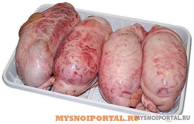 Куплю яичники говяжьи Ижевск - изображение 1