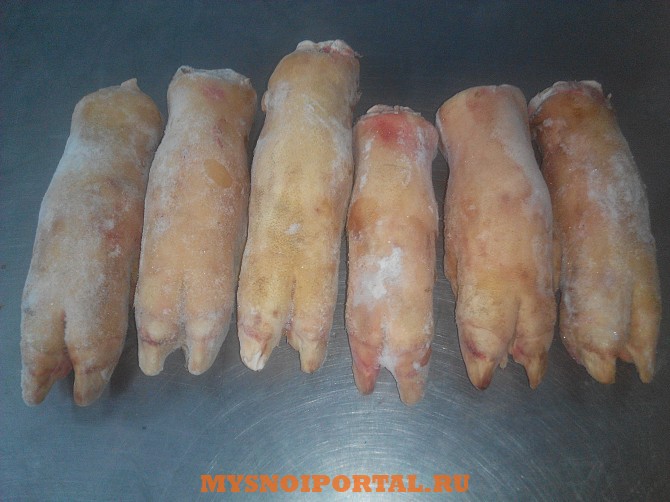 Ноги свиные Новосибирск - изображение 1