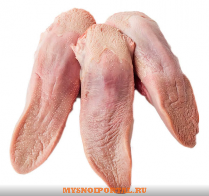 Куплю Язык бараний Москва - изображение 1