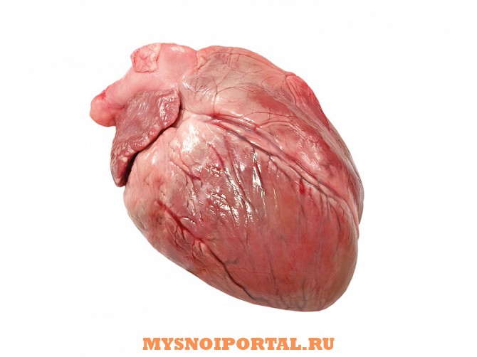 Продам Сердце свиное Новосибирск - изображение 1