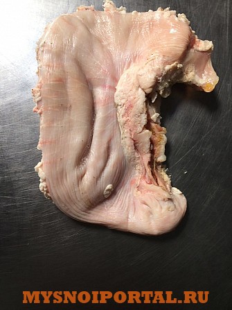 Желудок свиной Новосибирск - изображение 1