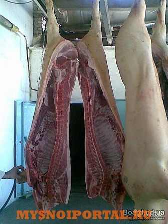 Продаю Полутуши Свиные в Новосибирске Новосибирск - изображение 1