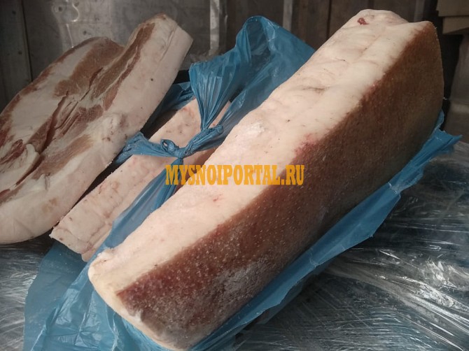 Продаю Шпик свиной Хребтовый, в Новосибирске Новосибирск - изображение 1