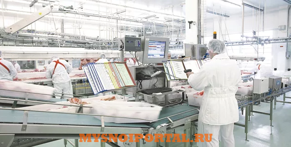 Продам: внедрение новых видов продукции, техн-ий Санкт-Петербург - изображение 1