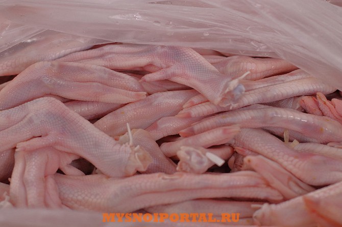 Куплю: утиные Лапы Москва - изображение 1