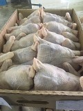 Продукция из мяса кур, кура - несушка 2 категории Тюмень